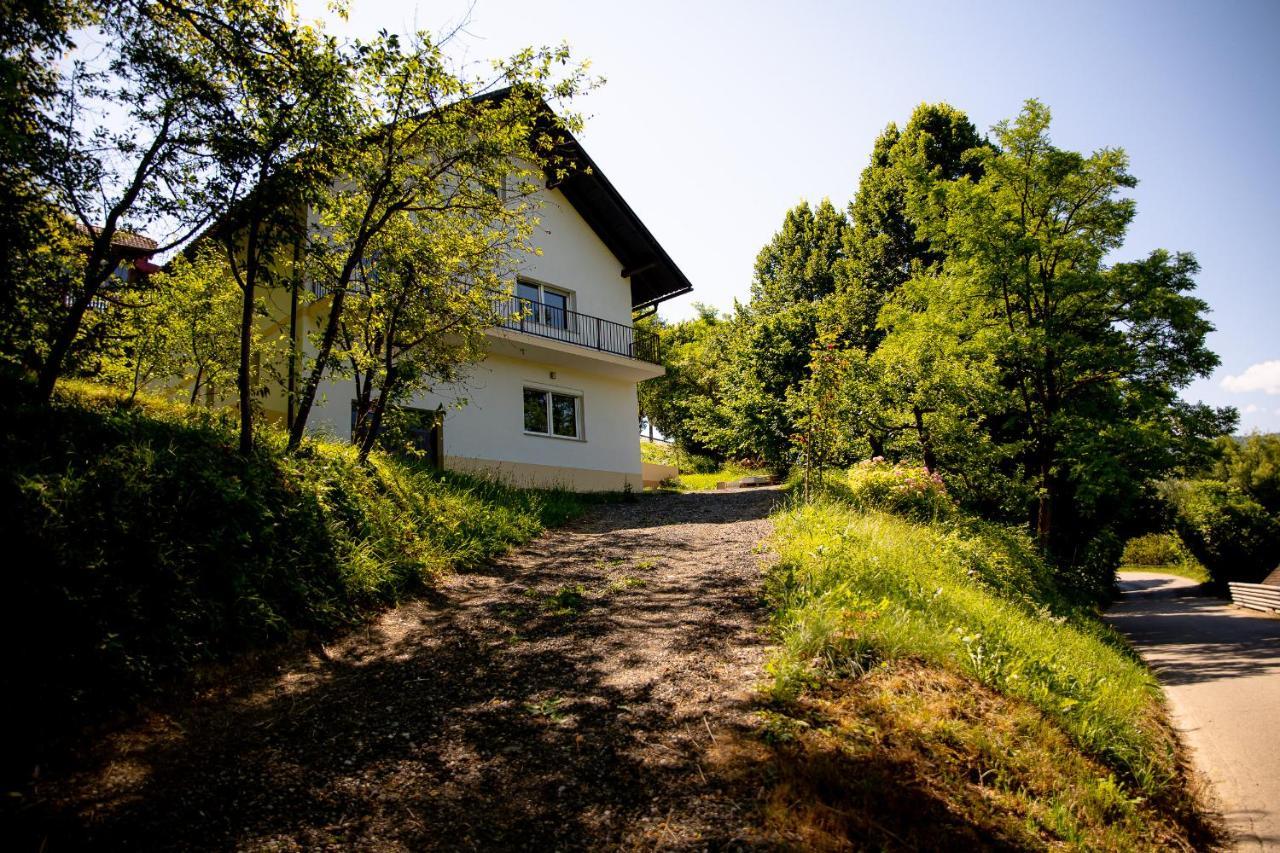 Elegant House In A Beautiful Village Cerklje ob Krki Eksteriør bilde